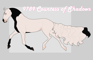 Thumbnail for 9789 Countess of Shadows