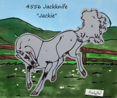 Thumbnail image for 4556 Jackknife