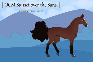 Thumbnail for 1171 OCM Sunset over the Sand