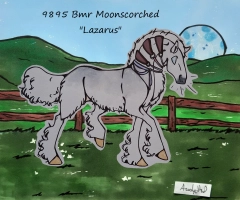 Thumbnail for 9895 Bmr Moonscorched