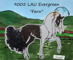 Thumbnail for 9005 LAU Evergreen