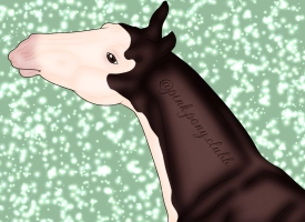 Thumbnail of 9871 PPC Southern Belle