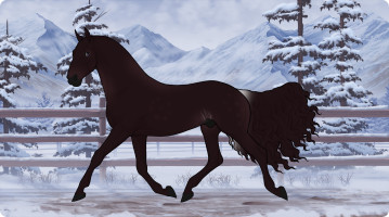 Thumbnail for 10005 Bloodberry
