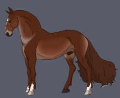 Thumbnail for 9998 Dogwitt