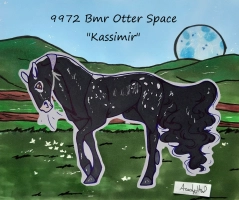 Thumbnail for 9972 Bmr Otter Space