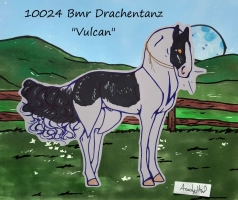 Thumbnail for 10024 Bmr Drachentanz