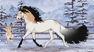 Thumbnail for 10098 JSS Road Less Travelled