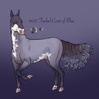 Thumbnail image for 8023 Faded Coat of Blue
