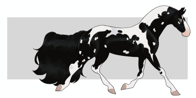 6882 Midnight Twist