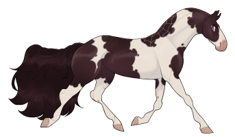 Thumbnail for 9995 Loxosceles