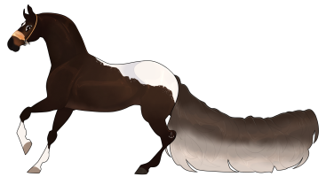 Thumbnail for 4206 SMA's Chocolate Steals the Show