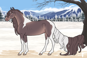 Thumbnail for 9522 Lakeside's Lavender Dawn