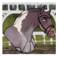 Thumbnail for 9427 WG Essenza