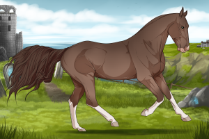 7789 Cinnamon Thumbnail