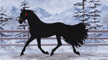 Thumbnail of 9938 ZL Twilight Whisper