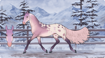 Thumbnail for 10186 PPC Sheza Commodity