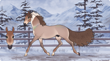 Thumbnail for 10199 NW - NORTHERN ATTITUDE