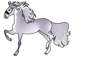 Thumbnail for 10224 NTN Tender Twilight