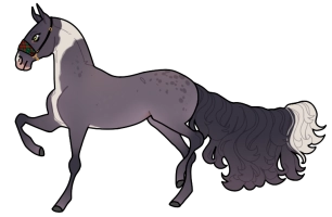 Thumbnail for 10246 MF Cattleya