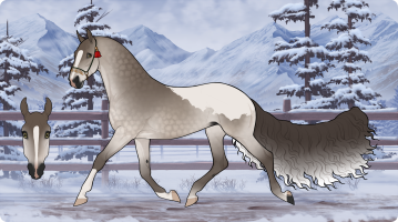 Thumbnail for 10285 SCE Last Words Of A Shooting Star