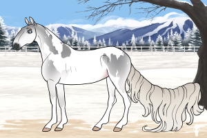 7669 Lakeside's Lila Thumbnail
