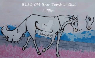 Thumbnail for 3180 GM Bmr Tomb of God
