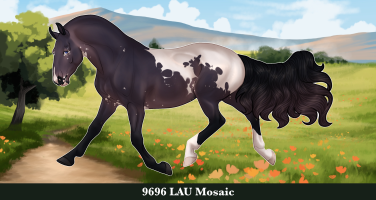 Thumbnail of 9696 LAU Mosaic
