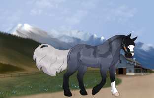 Thumbnail for 2101 LR The Other Side Of Paradise
