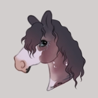 Thumbnail for 9650 November Rain