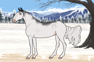 Thumbnail image for 4285 SGS Storm of Winter
