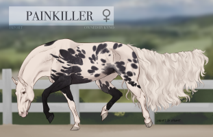 Thumbnail for 7885 Painkiller