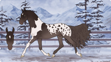 Thumbnail for 10353 STP Wanted dead or Alive