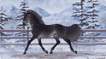 Thumbnail for 10354 Grey Ghost of Black Mountain