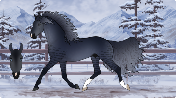 Thumbnail for 8317 Shades of Midnight