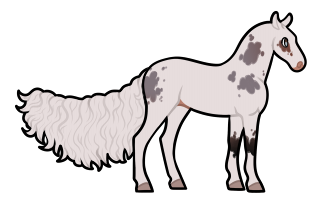 Thumbnail for 9161 PF Kahlua