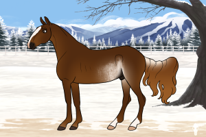 Thumbnail for 1727 Medvedev's Denali