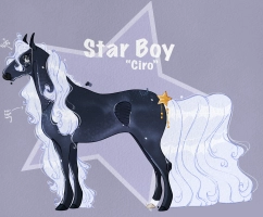 Thumbnail for 10277 Star Boy