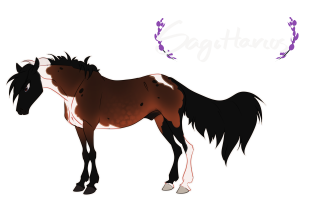 Thumbnail of 10311 Saggitarius