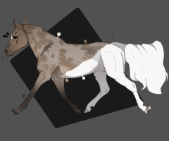 Thumbnail for 9980 MMR’s Buried To The Sun