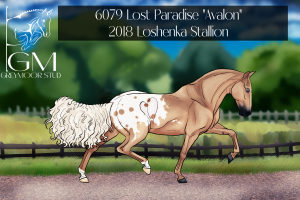 Thumbnail for 6079 Lost Paradise