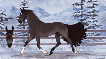 Thumbnail image for 10439