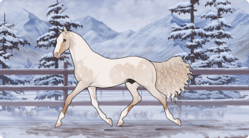 Thumbnail for 10446 Lakeside's Pale Winter Sun