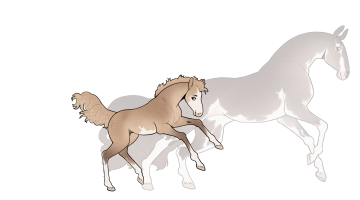 Thumbnail for 10462 NW NO AMOUNT OF