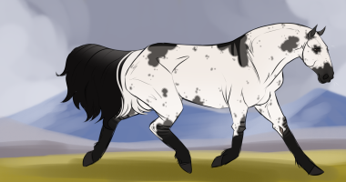 Thumbnail of 9829 Texas ranger