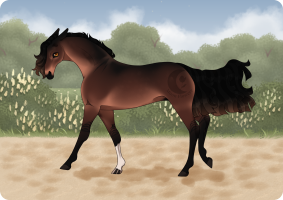 Thumbnail for 9943 WM Where the Wolf Howls