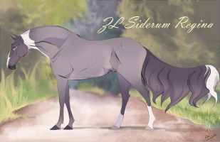 Thumbnail for 10338 ZL Siderum Regina