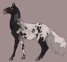 Thumbnail for 3731 Civetta