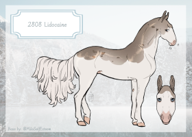 Thumbnail of 2808 Lidocaine