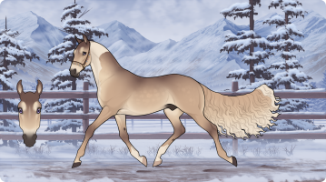 Thumbnail of 10402 Morning Latte