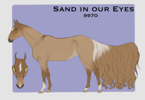 Thumbnail for 9970 Sand in our Eyes